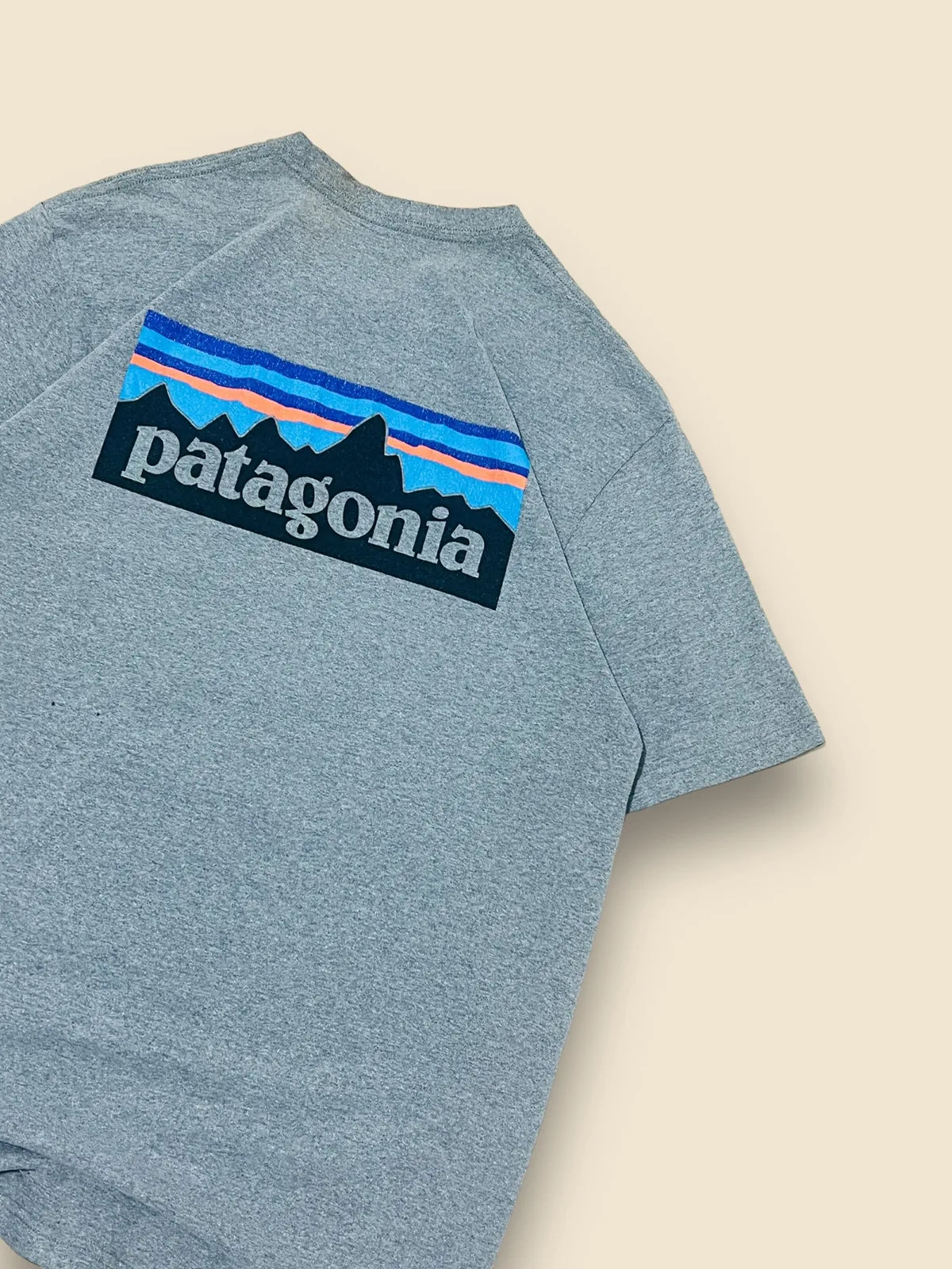 Camiseta Patagonia talla L